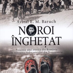 Noroi inghetat