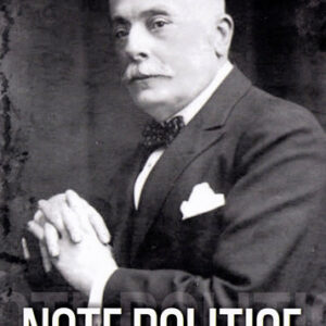 Note politice Vol.2: 1916-1917