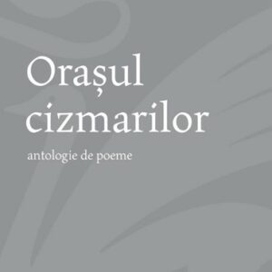 Orasul cizmarilor