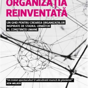 Organizatia reinventata