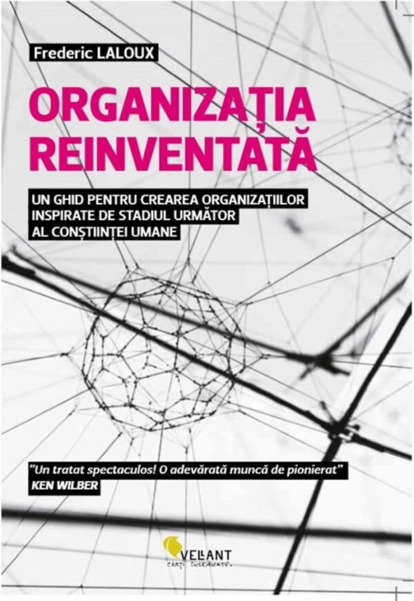 Organizatia reinventata