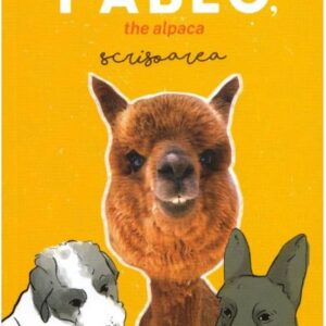 Pablo the alpaca. Scrisoarea