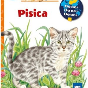 Pisica