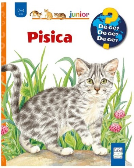 Pisica