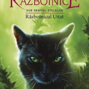 Pisicile razboinice Vol.23: Razboinicul uitat