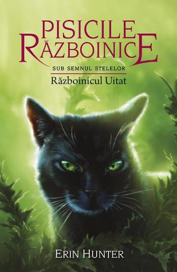 Pisicile razboinice Vol.23: Razboinicul uitat