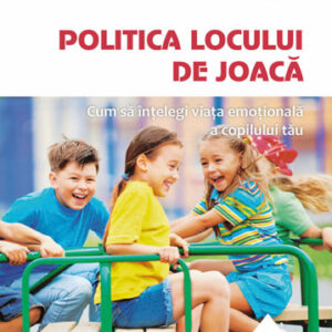 Politica locului de joaca