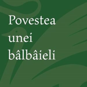 Povestea unei bâlbâieli