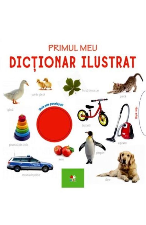 Primul meu dictionar ilustrat. Bebe invata