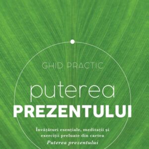 Puterea prezentului. Ghid practic