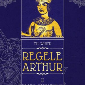 Regele Arthur Vol. 2: Regina văzduhului și a întunericului