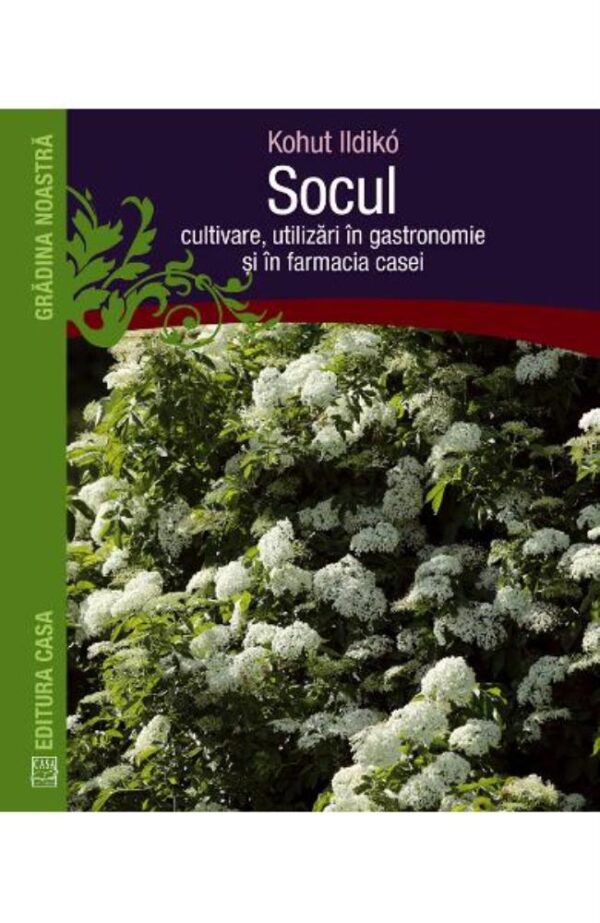 Socul: Cultivare utilizari in gastronomie si in farmacia casei