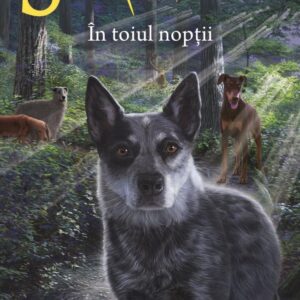 Supravietuitorii Vol.8: În toiul nopții