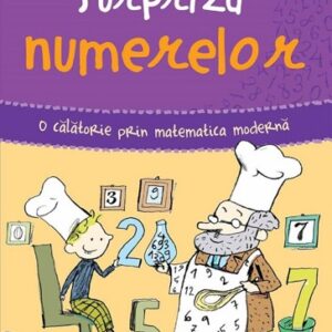 Surpriza numerelor. O calatorie prin matematica moderna