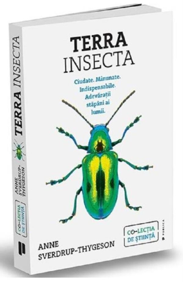 Terra Insecta