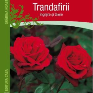 Trandafirii: Ingrijire si taiere