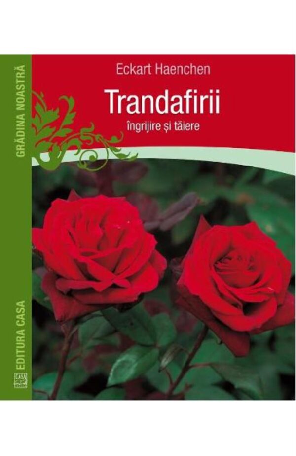 Trandafirii: Ingrijire si taiere