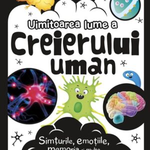 Uimitoarea lume a creierului uman