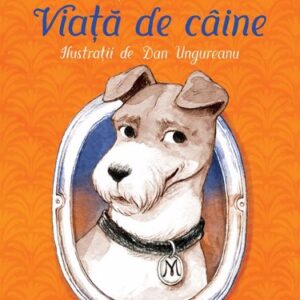 Viață de câine