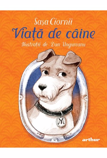 Viață de câine