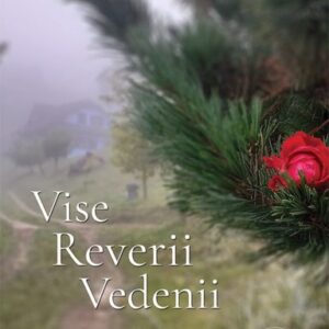 Vise reverii vedenii